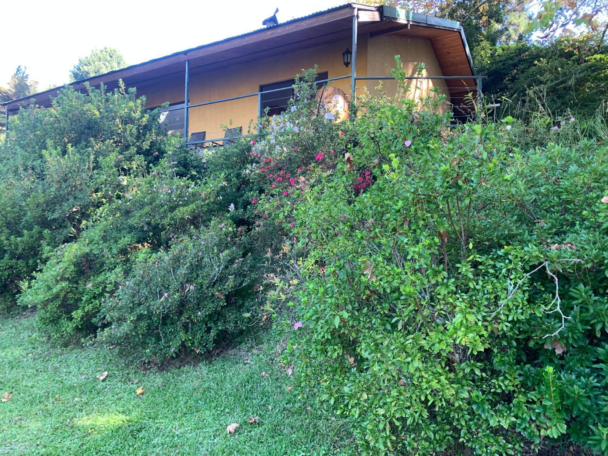 Villa Emafweni Champagne Valley Esterno foto